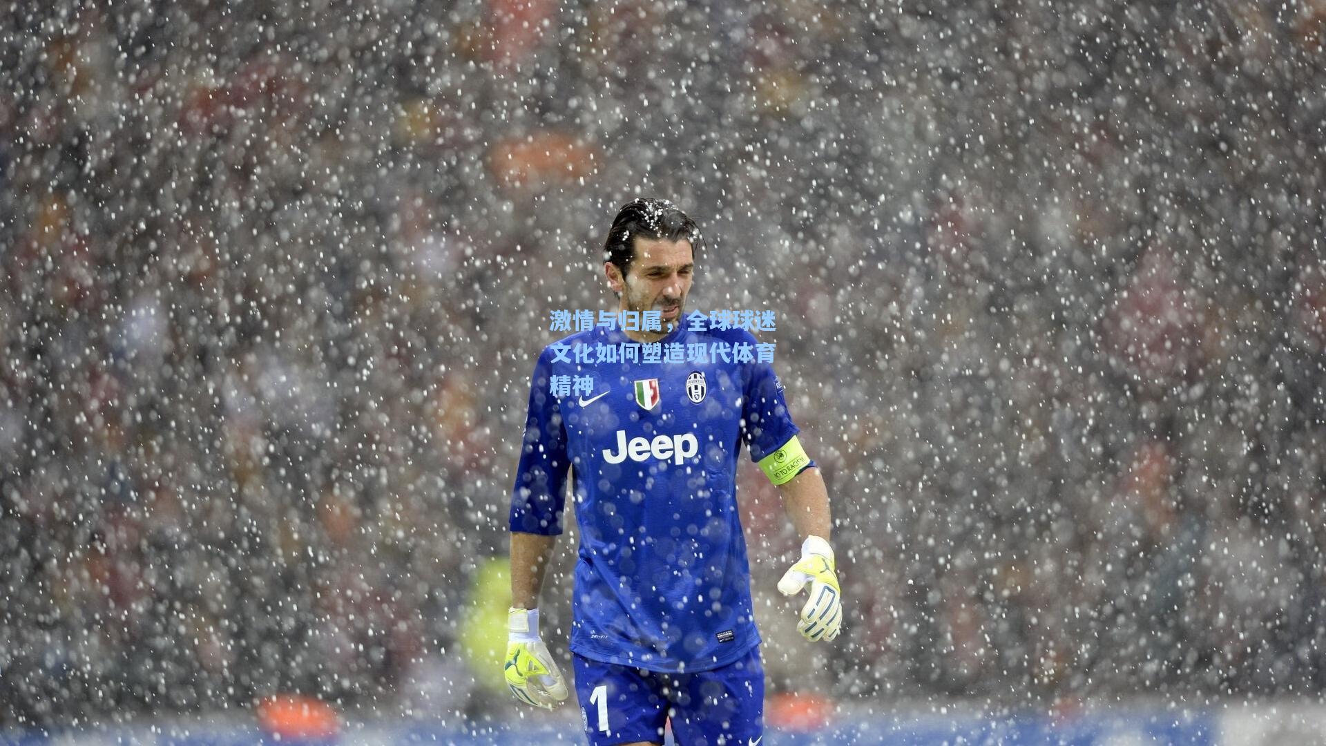 激情与归属,全球球迷文化如何塑造现代体育精神